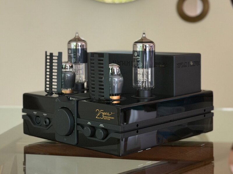 Feliks Audio Envy 25th Anniversary Headphone Amplifier, Free Shipping!